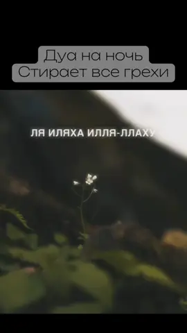 #ислам #иман #дуа #таухид #коран 
