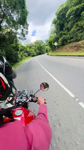 ❤️🍃 #honda #Hornet250 #BIO8455 #f7 #hornet #foryou #viral #fypシ #fypシ゚viral 
