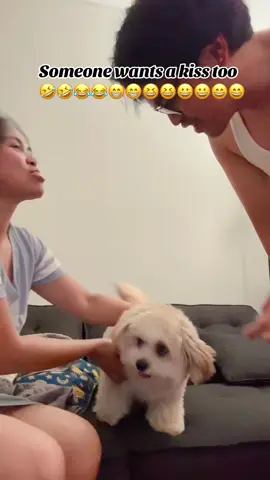 He got jealous 🤣😆😁😀😄😃😂🐶 #fyp #fypシ #tiktok #viral #foryoupage 