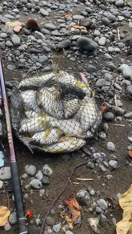 sebelum banjir melanda😭