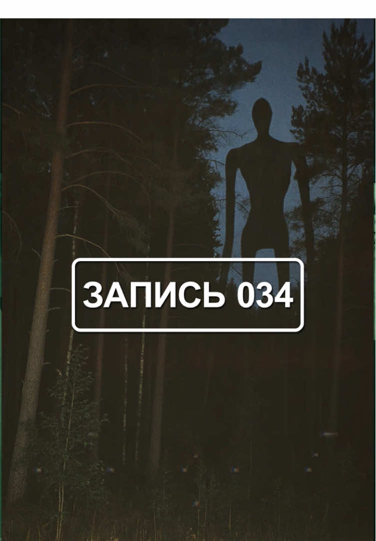 Заражённая заправка. Карелия. Ближайший населённый пункт находится в пятидесяти километрах. Объект внесён в базу К.О.Н.Т.У.Р. после фиксации аномальной активности. Первым сигналом стала высокая текучка кадров: несмотря на щедрые надбавки за удалённость, сотрудники не задерживались дольше двух недель.  Продолжение в ТГ: project_kontur #foundfootage #horror #creepypasta #хоррор #правила 