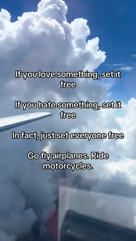 #fly #airplane #skypirate 