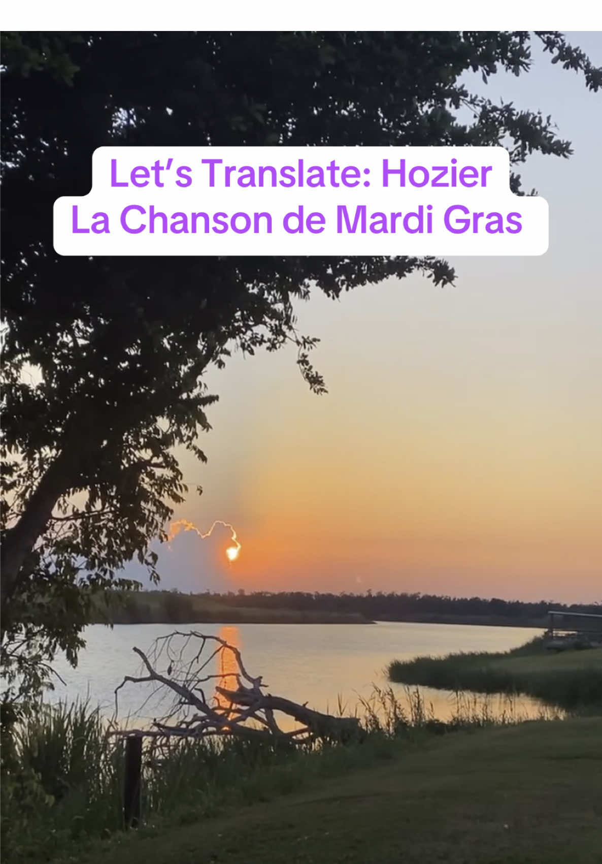 Let’s translate the Hozier song La Chanson de Mardi Gras. Cajun French to English #cajun #hozier #mardigras #music #transition 