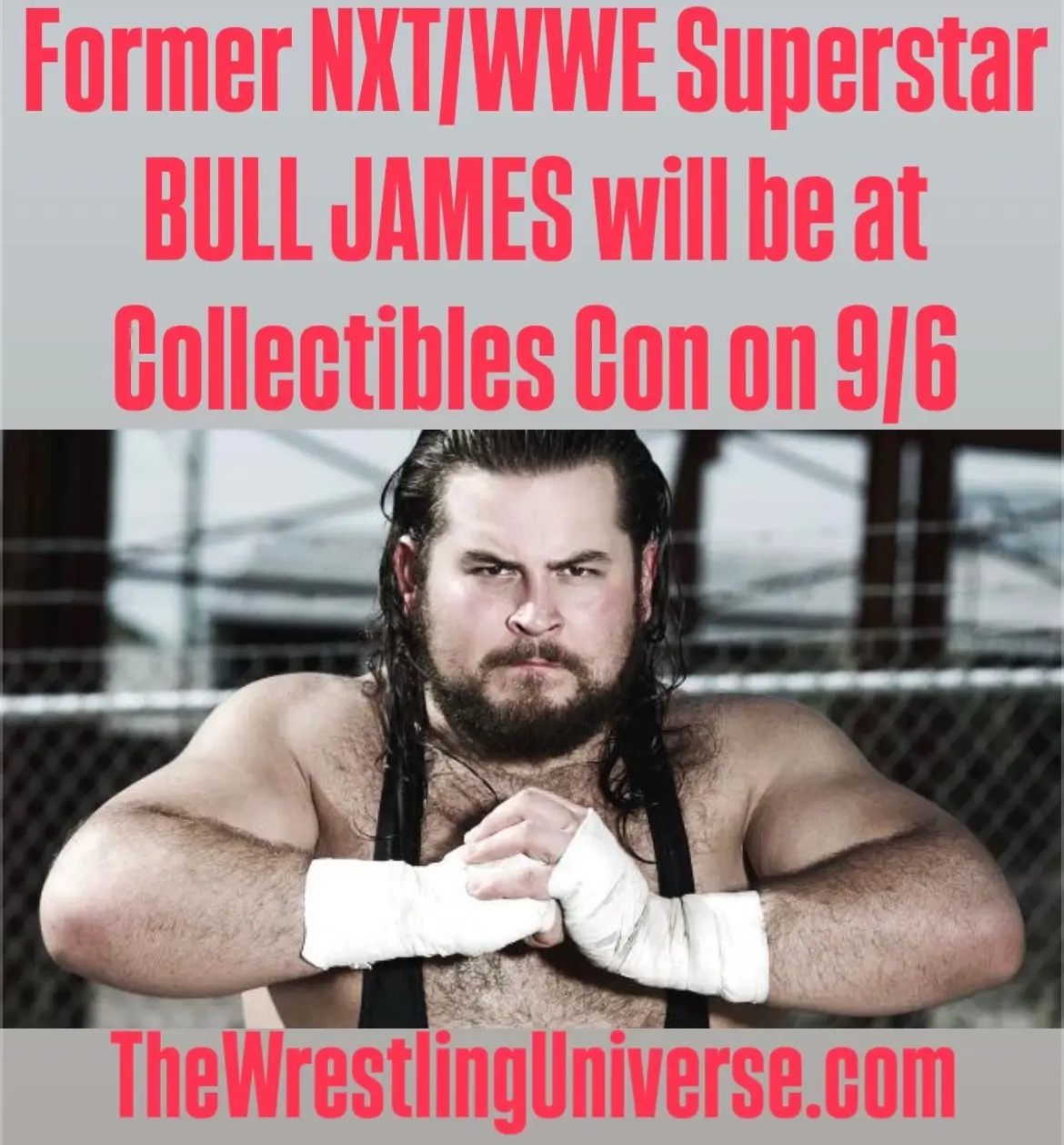 ONLY 1 WEEK AWAY….. We Just Added more Wrestling Stars to Appear at our Convention COLLECTIBLES CON ON QUEENS BLVD on 9/6 at The Elks Lodge on Queens Blvd Located at 82-20 Queens Blvd in Elmhurst, Queens NY  Boogeyman & Nunzio Tickets are Available on our Website at TheWrestlingUniverse.com along with a couple of more stars. All others Tickets will be Available at the show.  There will be vendors with Sports Cards, Comic Books, Pokemon & TCG and Tons of Wrestling Merchandise  Admission for Adults $5.00 Children 15 & under $3.00 For vendor information go to & hit us up on our Instagram @WrestlingUniverseStore #WWE #aew #tna #tnawrestling #ecw          