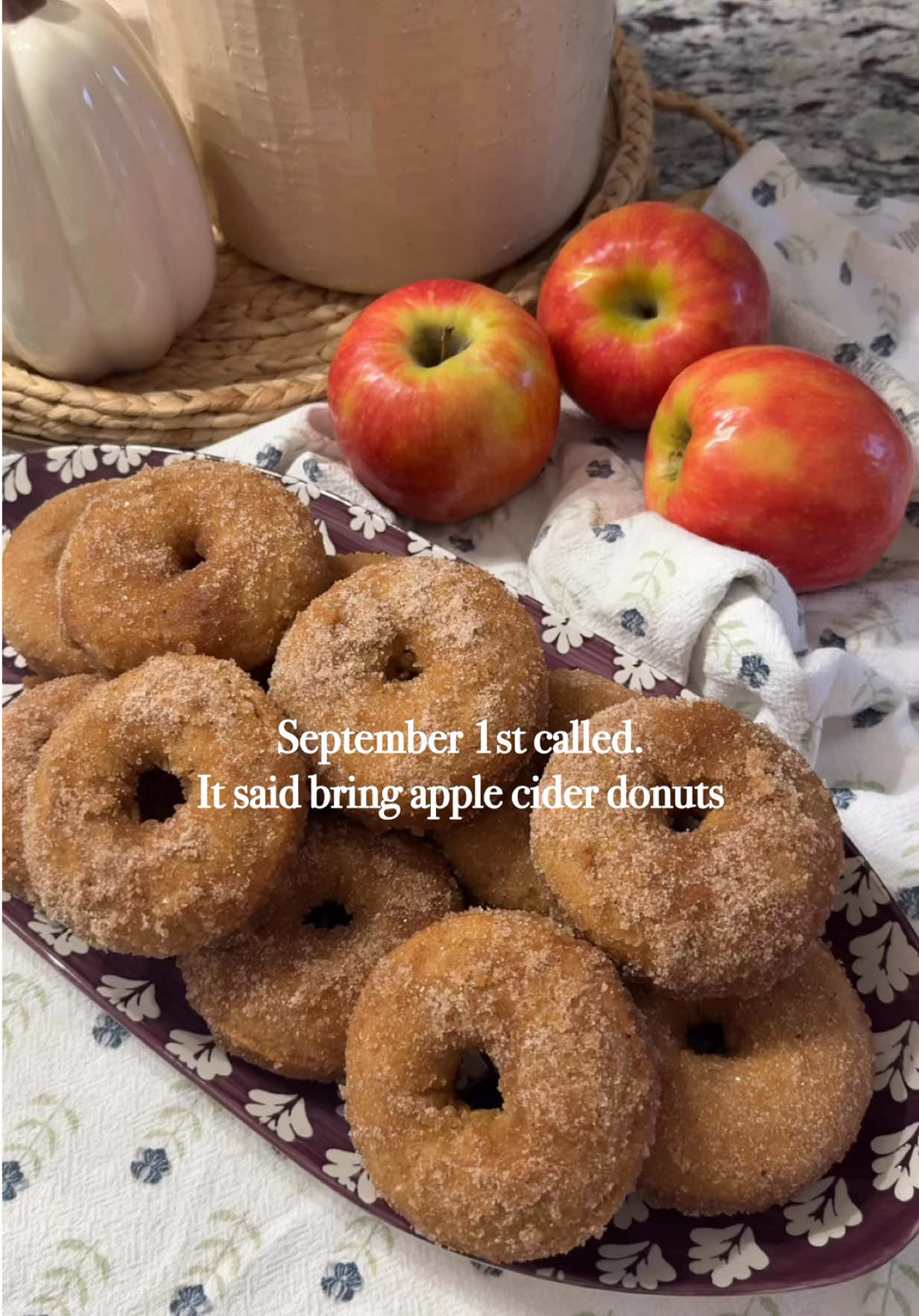 RECIPE IN CAPTION! 🍩 🍎  GOOD Apple cider donuts are so hard to come by where I live, these are REALLY close! Gluten free, too! Preheat oven 350°. Reduce 1 1/2 c apple cider vinegar to make 1/2c for recipe (let cool before mixing). Mix dry ingredients + wet ingredients. Spray non-stick and pipe batter into donut tray (I used a plastic quart sized bag). Bake 14-15 minutes until the donuts “bounce” back. Once cool, dip both sides in melted butter, top with sugar mix. Best to eat when chilled! 🤌🏼 🍎 Ingredients: 2 cups GF King Arthur flour 1 teaspoon baking soda 3/4 teaspoon baking powder 1 teaspoon ground cinnamon 1 teaspoon apple pie spice (mixture of cardamom, cinnamon, and nutmeg) 1/4 teaspoon salt 2 Tablespoons butter, melt 1 large egg 1/2 cup dark brown sugar 1/2 cup granulated sugar (can use 1/4c if preferred less sweet) 3/4 cup milk 1 teaspoon pure vanilla extract 1 and 1/2 cups apple cider (simmer on low to reduce to 1/2 cup) 🍎 Topping: 1 cup granulated sugar 3/4 teaspoon cinnamon 3/4 teaspoon apple pie spice 6 Tablespoons butter, melted 🍎 Apple Pie Spice:  4 tsp cinnamon 2 tsp nutmeg 1 tsp cardamom  (Spinoff of @Sally’s Baking recipe) #fallbaking #donuts #bakingtiktok #fallvibes #bakingrecipe 