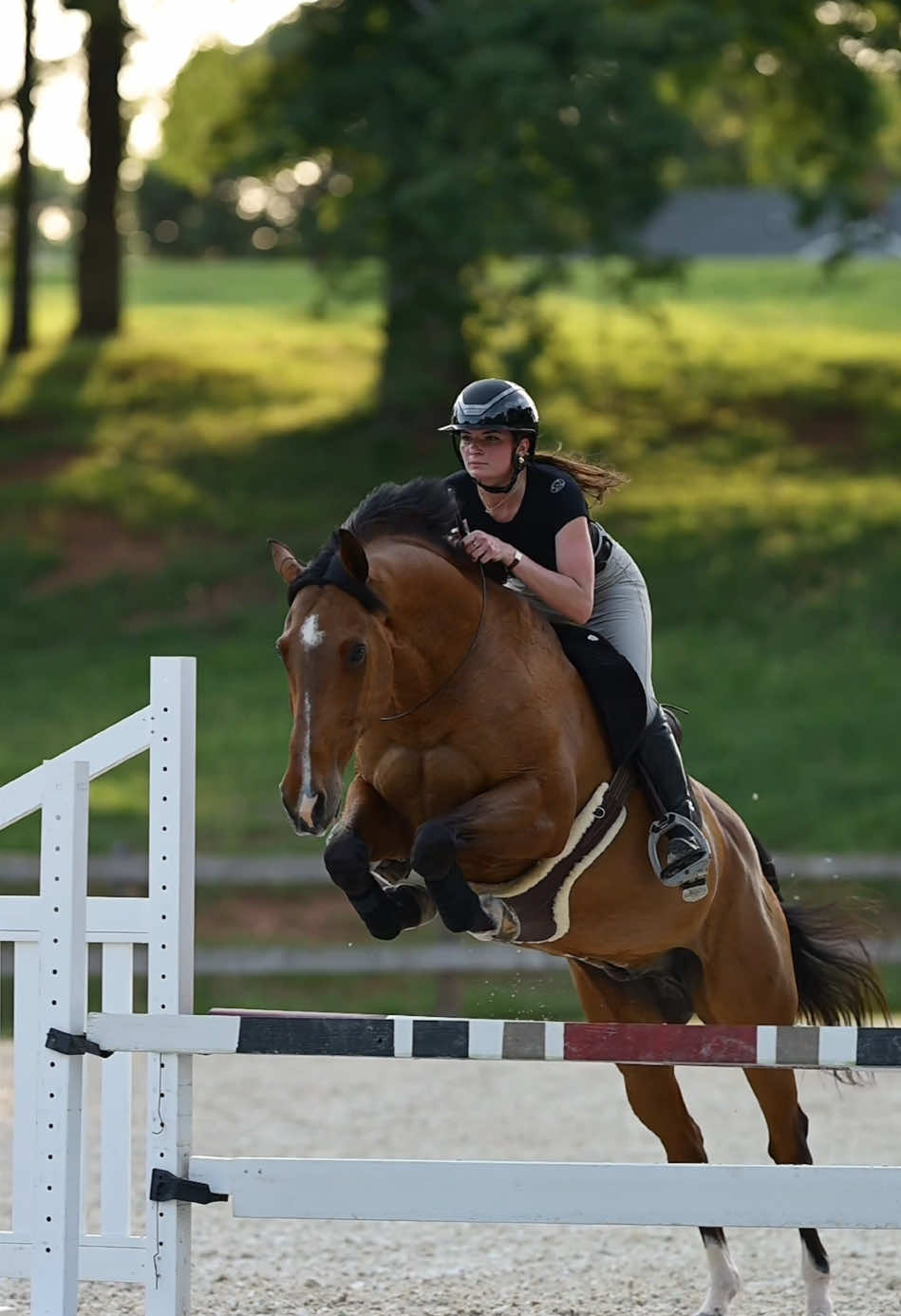 🚨Seamless short sleeves in our most popular colors are back!🤩🥳 #freerideequestrian #horseriding #horserider #horses 