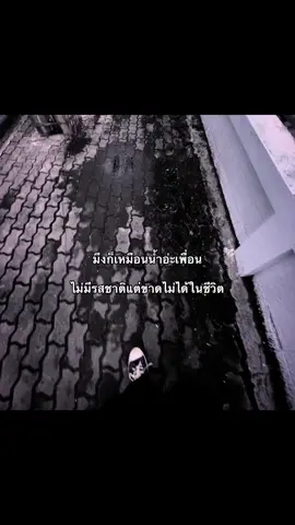 #เธรด #สตอรี่ 