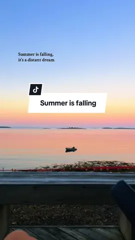 Come back🥺 @Riss #Summer #summerlove #summerisfalling 