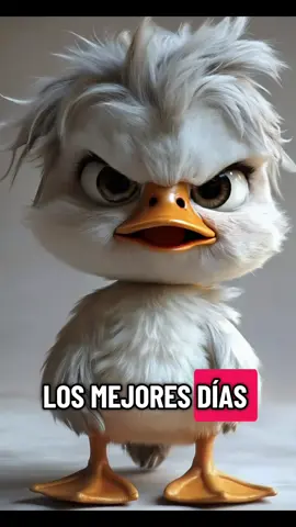 Humor,divertido y gracioso funny #humor #humortiktok #funny #funnyvideos #parati 