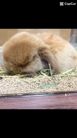หลงสุดๆ