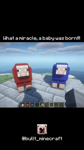 What a miracle, a baby was born!!! Follow for more videos!!! #Minecraft  #minecraftmemes  #memeshorts  #minecraftvideos  #trendingshorts    