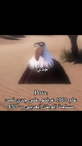 #سعودز🇸🇦 