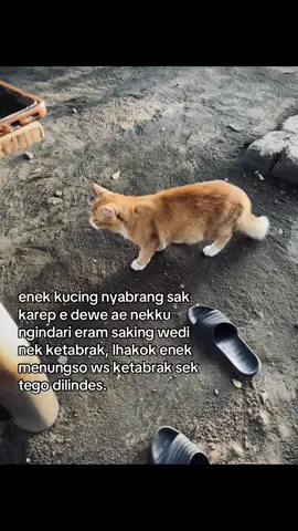 ra tego nyawang