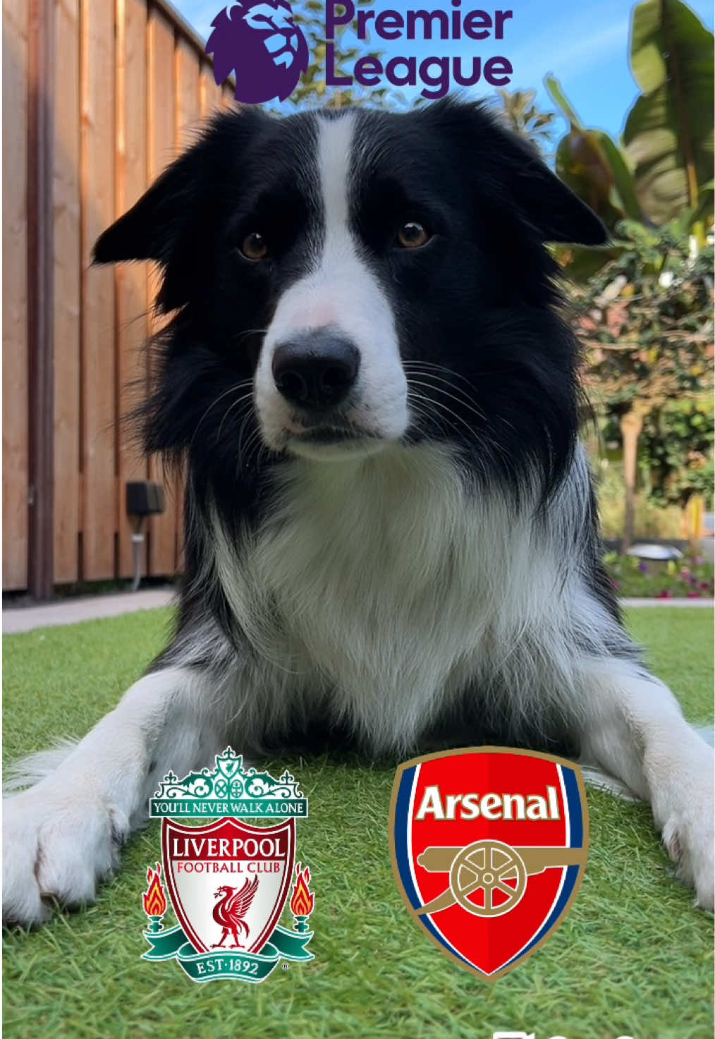 Premier League Prediction! 🏴󠁧󠁢󠁥󠁮󠁧󠁿 Liverpool - Arsenal ⚽️ #PremierLeague #footballtiktok #liverpoolfc #arsenal #tacticaltax 