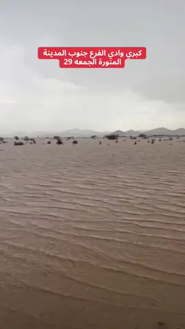 #المدينة #امطار 