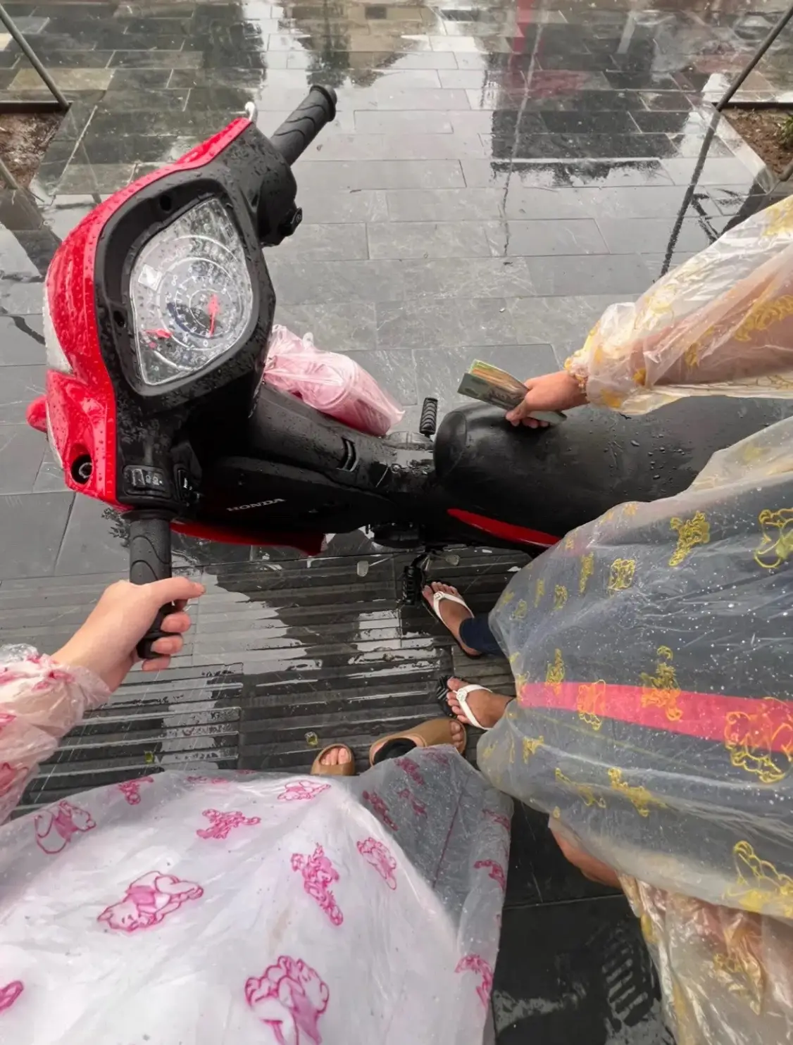 wave đỏ chứng tỏ……..xem thêm