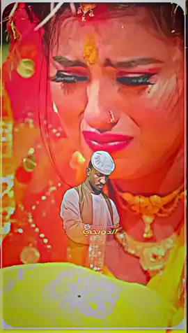 #حامد_عثمان_التايقر #عليك_الريده_يالقمري #tiktokindia #الشفيع_محمد_الدويحي 