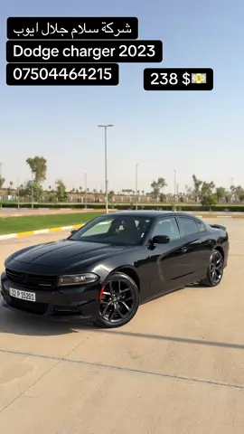 #شريكة #سلام #جلال #erbil_slemani__duhok_halabja_koya_ranya #dodge 