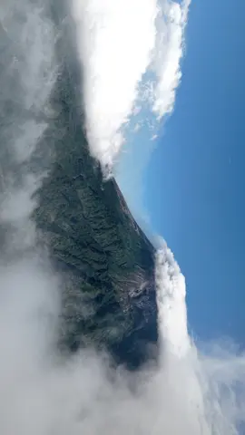 ⛰️🐋☁️✨