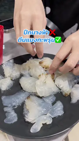 สรูปคืออะไร😂 #แมงกะพรุนเวียดนาม🇻🇳 #ตีนแมงกะพรุนเวียดนาม #แมงกะพรุน #ปีกนางฟ้าแมงกะพรุน #แมงกะพรุนปีกนางฟ้า 