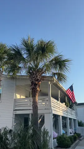 walk ft. stingrays playing in the wavebreaks!! #beachtown #wilmingtonnc #morningvibes 