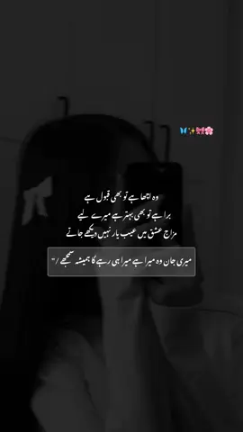 #whos_mishi2 