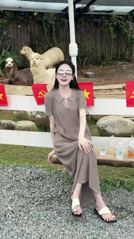 Gặp idol long chìa , trộm vía em k phun nước miếng nhưng e no k chịu ăn cà rốt 😒 #xuhuong  #fyp  #sapa 