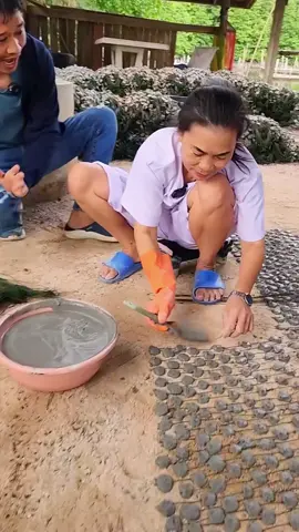 Do you know how oysters are farmed?#foryou #tiktok #viral #trivia #shorts #funny #fyp