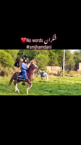 #smjhamdani #foryoupage❤️❤️ #highlight #tiktoknews #viraltiktokvideo @S M J @Hadi shah✨ 