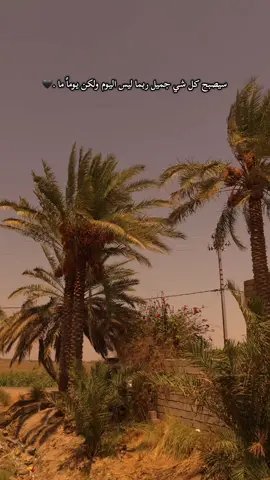 #عبس 