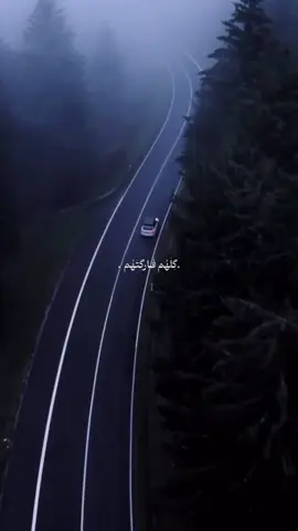 آخ كلبي 💔..