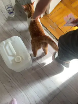 ХАХАХПХПХП 