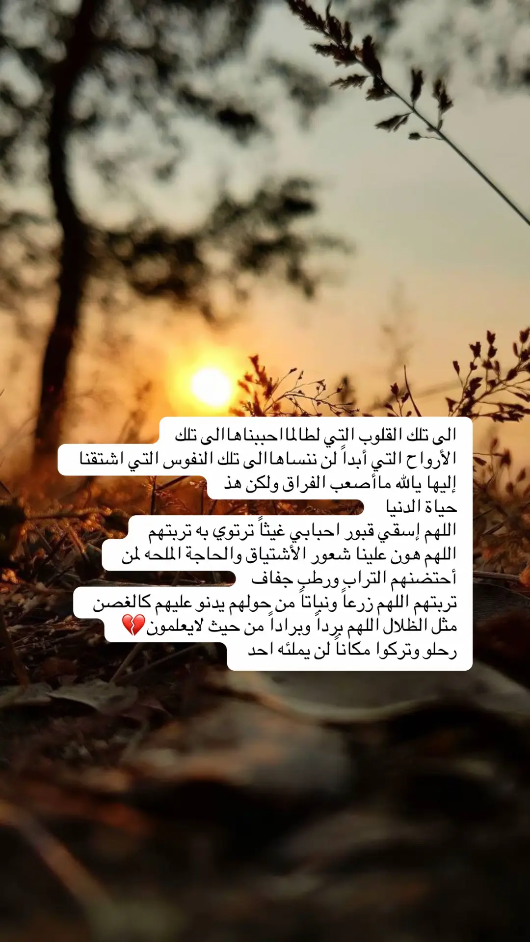 اخر ساعة من يوم الجمعة وساعة استجابة اللهم اجعل قبورهم خير مسكن تغفو بها عينهم الحبيبة 🤍🕊