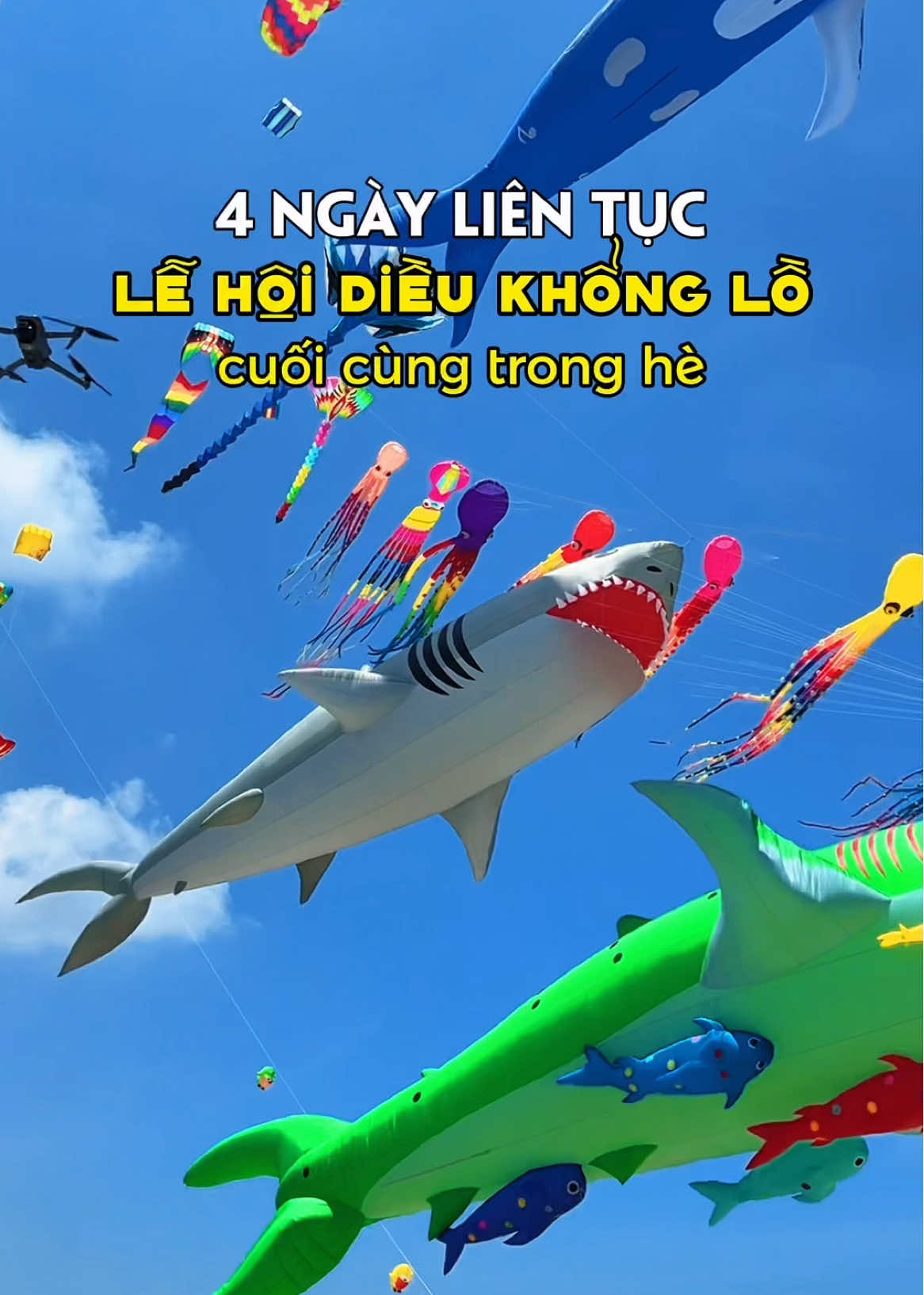 Cơ hội cuối hè cho những ai bỏ lỡ Lễ Hội Diều Khổng Lồ Phước Hải 🐳 4 ngày liên tục từ 30-2/09 🤩#langchaiphuochai #phuochai #vungtau #reviewphuochai #lehoithadieukhonglo 