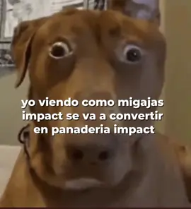 #creatorsearchinsights CHICOS EN LA SIGUOENTE ACTUALIZACION NOS VAN A DAR UNA PANADERIA COMPLETA YA NO HABLARÉ MAL DE GENSHIN POR UN BUEN TIEMPO GENSHIN TE AMO HOYOVERSE TE AMO #hoyoverse #nodkrai #GenshinImpact #humor 