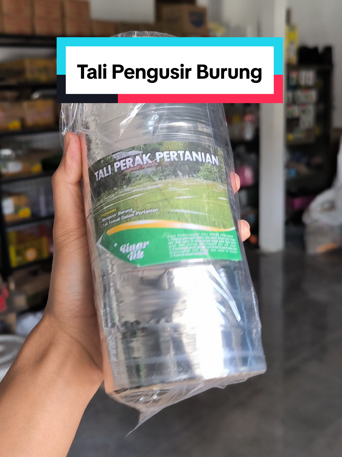 Tali Perak Pertanian Pengusir Burung #taliperak #pengusirburung #pertanian #tanaman #padi 