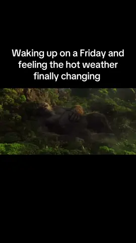 #fyp #trending #funny #friday #weather #hot #cool #Summer #autumn #fall #seasons #season #kingkong 