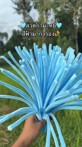 #ลวดกำมะหยี่ #diyลวดกํามะหยี่ #ลวดกํามะหยี่ #ลวดกํามะหยี่กําลังมาแรง 