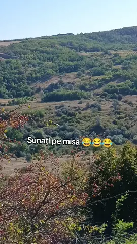 #😂😂😂😂😂 #misa #videosviral #fypシ゚ #viraltiktok 