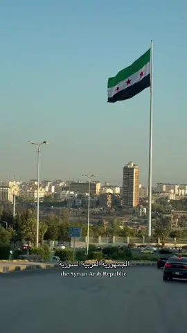 🇸🇾