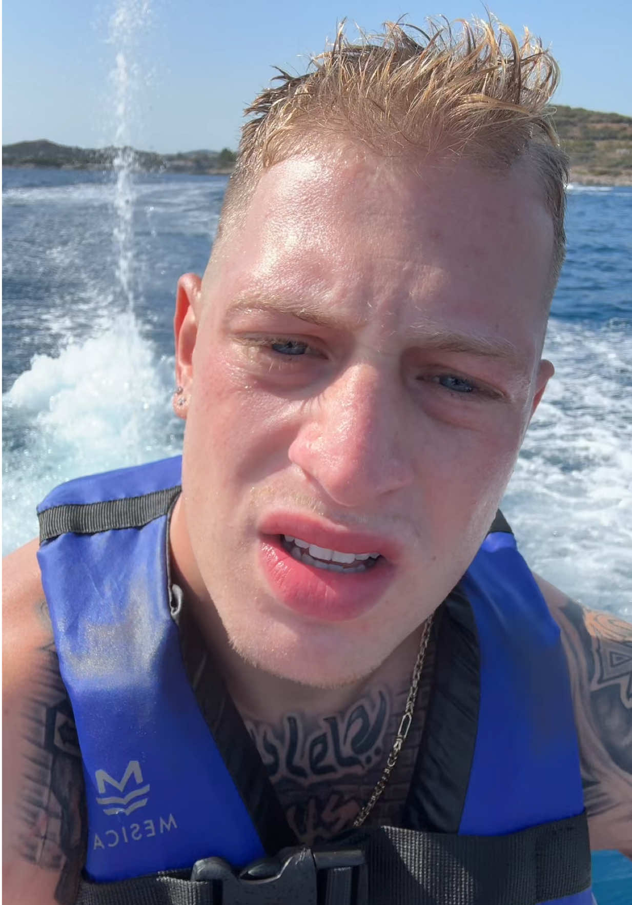 🦈🦈🦈
