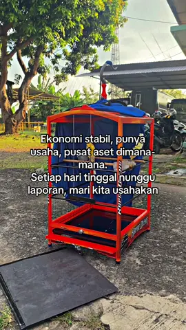 Berjuang selayak nya laki-laki #kicaumania #kenariindonesia #viral #fyppppppppppppppppppppppp 