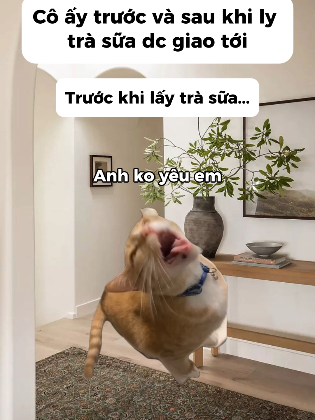 Mấy nàng dễ hiểu thế mà mấy anh cứ làm quá😏😏#doisong #capdoi #meme #meo #haihuoc #dethuong