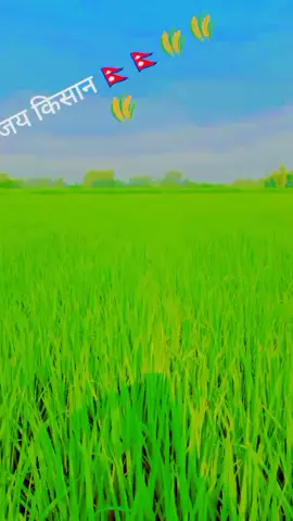 किसान बने के लिए ##किस्मत ##चाही ###नहीं ##re लाल ##मिटी me कम जानना चाहिए 