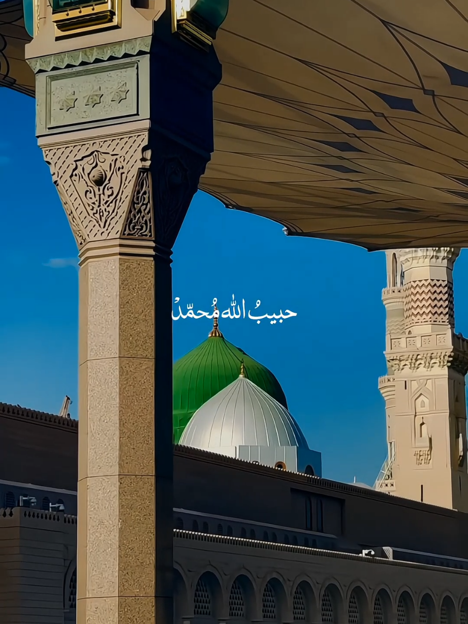 رسولُ الله مُحمّدْ . . . . #nasheed #islamicstatus #viralvideos #muslimtiktok  #qalbibeats 