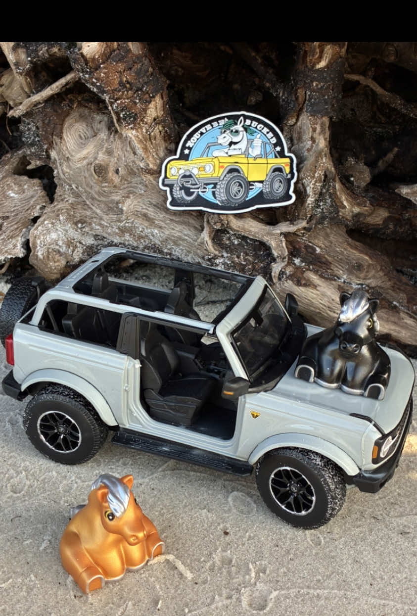 If this is your vibe, we should be friends. Bucks available for purchase in Amazon or my website, link 🔗 in Bio. #buckbuckbronco #bronco #forbronco #pegazusthebronco 