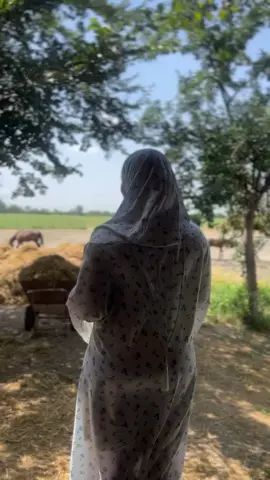 الخيل ❤️🐴@doctor خديجة 