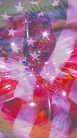 #CapCut 