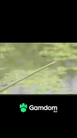 #fypシ #trending #viral #frogsoftiktok #frogs 