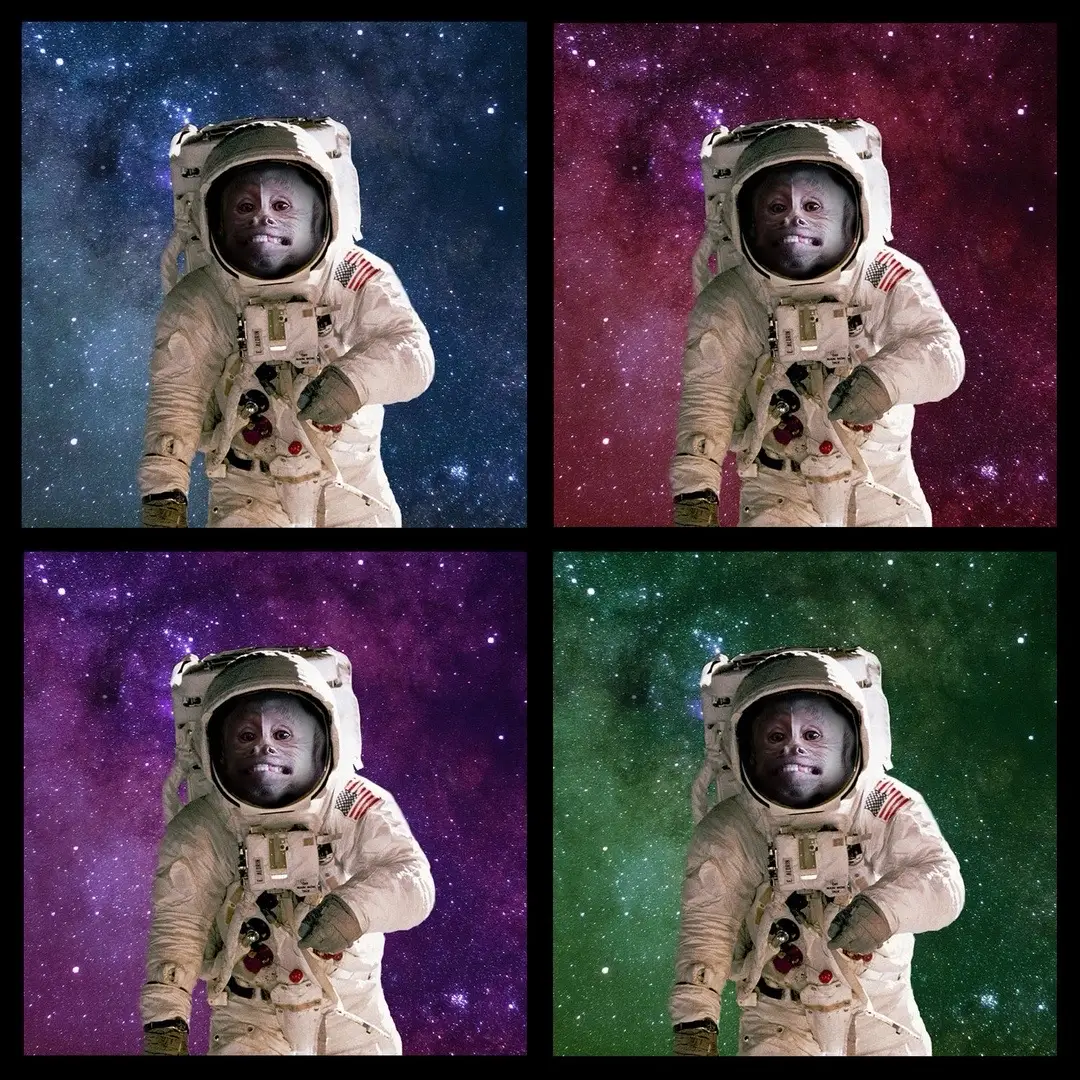 For those new to George’s story — George wasn’t just a monkey, he was a source of joy and connection for people across the world during 2020–2021. At a time when so many needed a reason to smile, George had the uncanny gift of brightening lives. Fans from every corner of the globe would send him packages to open, sharing in his curiosity, his laughter, and his light. George became more than a pet — he was a beacon of positivity, reminding us to pause, be grateful, and find joy in the simplest moments. That same spirit lives on through Georgie Boy ($GEORGE). This coin is more than a meme — it’s a tribute to the happiness George brought to so many, and a way to carry his legacy forward. Together, we can keep his story alive, spread that joy even further, and build something as special as the community George inspired. Let’s keep it going. For George. For all of us.  CA:FTMjoTqwXjANAZ2YpYtUrEd129pgHMxYLwmLUzCsbonk Socials: X  https://x.com/i/communities/1951664117753782527 TG https://t.me/georges_coins Website https://www.georgieboystore.com TIKTOK  https://www.tiktok.com/@heresyourmonkeycontent